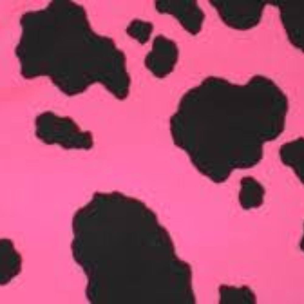 Meet your Posher, Hazel